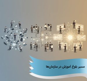 مسیر بلوغ آموزش در سازمان‌ها